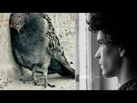Wael Kfoury Tabke Al Toyour وائل كفورى تبكي الطيور 