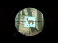 Z6i (gen2) 2.5-15x56 P BT L reticle 4A-I subtensions