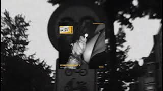 PUMP THIS PARTY - RESTRICTED x JUNKIE KID (VISUALIZER)