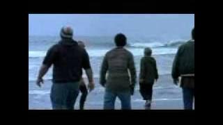 whale rider