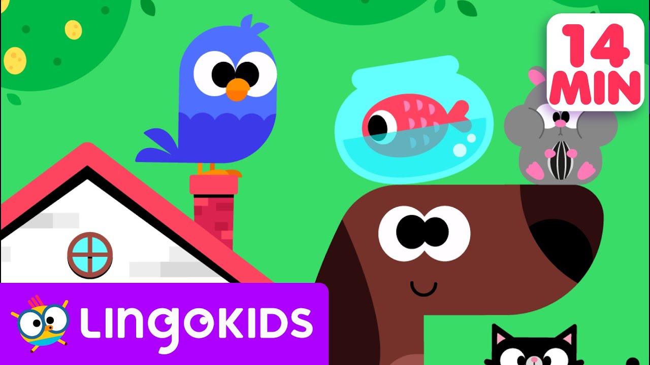 Match the ANIMAL SOUNDS! 🐱🐮🔊 | Lingokids