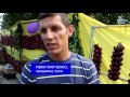 Фестиваль лука  "Луко-морье" в Крыму