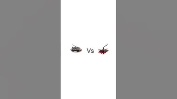 Battlebot prediction Bloodsport vs gigabyte #battlebot