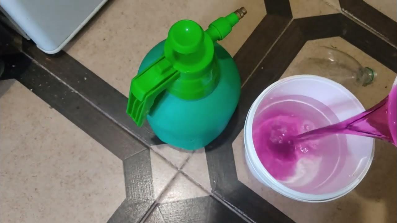 Treatment of strawberries with potassium permanganate against diseases