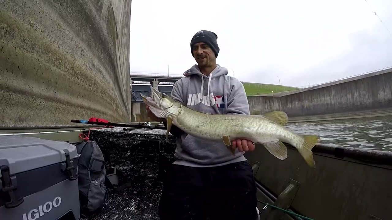 Banana fishing myth debunked!