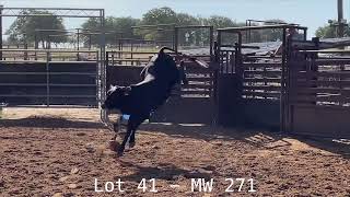 Lot 41 - MW 271