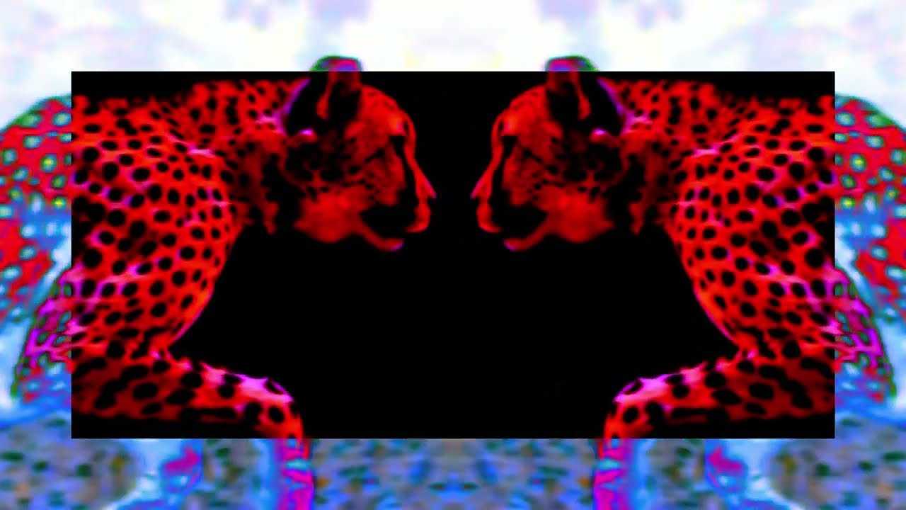 d o k t o r h o k a s h i  -  ugrbugr/ the worldstylers remix (official video)