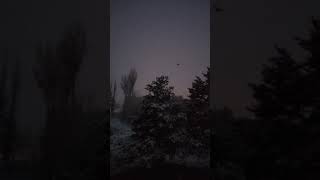 Güzel Kar Yağışı Manzarası Kars