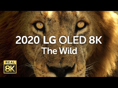 2020 LG OLED 8K l  The Wild 8K HDR 60fps