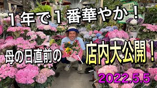 母の日直前！ライブっぽい動画？