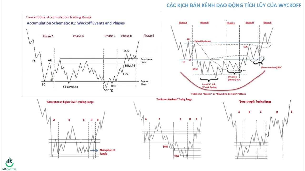 Wyckoff Thực Chiến Cảnh Báo Sai Lầm Lớn Của Wyckoffian YouTube
