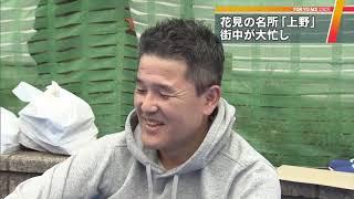 花見の名所・上野は早くも盛況