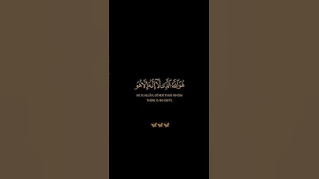 سورة الحشر / القارئ سعد الغامدي / تلاوة خاشعة تريح سمعك