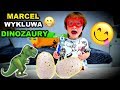 MARCEL ROZWALA JAJA DINOZAURÓW :) + auto które jeździ po ścianach