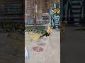 ❤️🛹 #skatelife #sk8 #skateboarding #skater #fail #newyork #skateboardingisfun