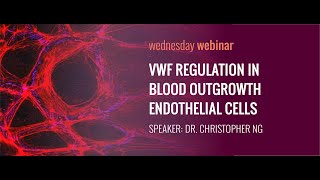 Celebrity VWF Regulation in Blood Outgrowth Endothelial Cells with Dr. Christopher Ng Wealth