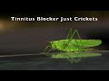 Tinnitus blocker just crickets nature sounds