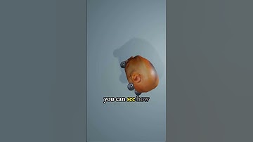 Final rendered animation for DaBaby Car meme - low poly 3d model in Blender