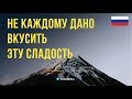 Не каждому дано вкусить эту сладость...  |  Назратуллах Абу Марьям