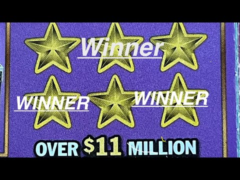 WINNER WINNER WINNER