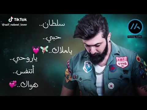 سلطان كلبي يا ملاك سيف نبيل