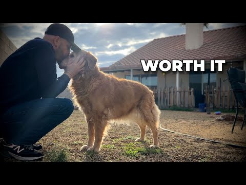 I'm Always Covered in Hair, and it's Worth It | Vlog 56
