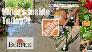 Home Depot Plant Finds! + Grocery Store Garden Plants