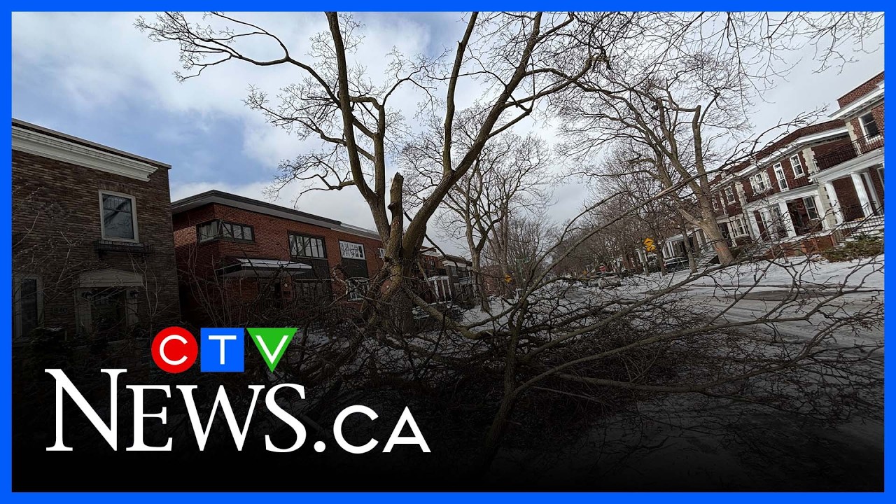 High winds knock out power, cause damage across Quebec - YouTube