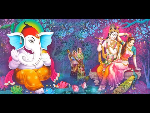 Sampara S Wedding Live Streaming