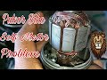 Pulser Bike Self Motor problem