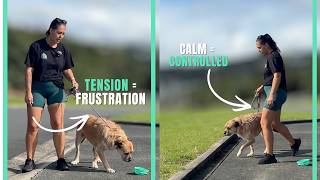 How to Teach Your Dog to “Make Space”. The Exercise Every Reactive Dog Needs.