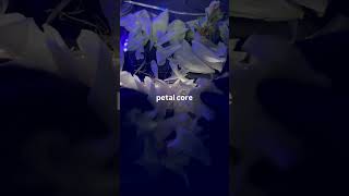 peony petals, petal core. falling one by one #peonies #petalcore #flowerart #scannerart #artshorts