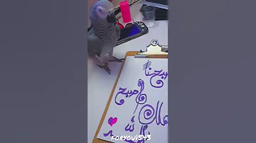 وقت التصوير لا كلام ولا سلام كاسكو 