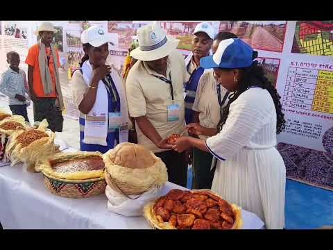 Hoolataa Fooramii Magaalota Itiyoophiyaa 10ffaa Magaalaa Samaraatti Gaggeeffame