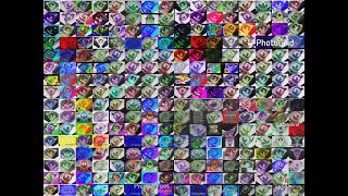 256 Klaskyklaskyklaskyklasky Gummy Bear Versions