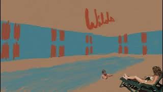 Andy Shauf 'Wilds' (Full Album Stream)