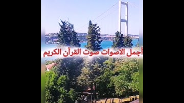 #سوره النساء القارئ هيثم الدخين 🌹😍❤️اللهم اجعل القرآن ربيع قلوبنا ونور صدورنا# #المصحف#راحة_نفسية