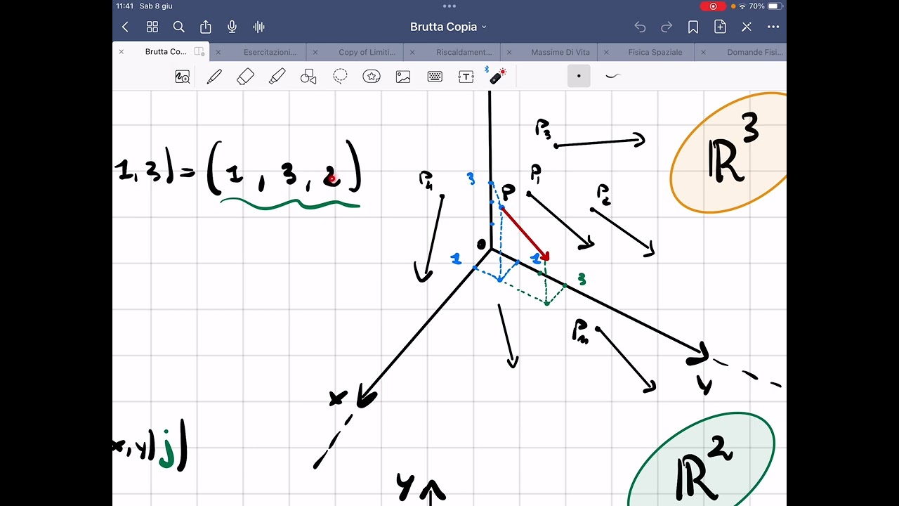 Campo vettoriale: spiegazione semplice e intuitiva.