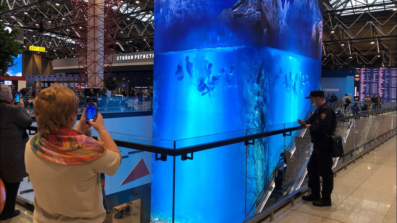 Airport Sheremetyevo Terminal C and B