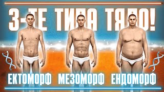 видео: ЕП.№18 - ЧЕРНАТА ИСТИНА ЗА ТИПОВЕТЕ ТЕЛА ВЪВ ФИТНЕСА - ЕКТОМОРФ, МЕЗОМОРФ И ЕНДОМОРФ!...КАКЪВ СИ ТИ? картинка: ЕП.№18 - ЧЕРНАТА ИСТИНА ЗА ТИПОВЕТЕ ТЕЛА ВЪВ ФИТНЕСА - ЕКТОМОРФ, МЕЗОМОРФ И ЕНДОМОРФ!...КАКЪВ СИ ТИ?