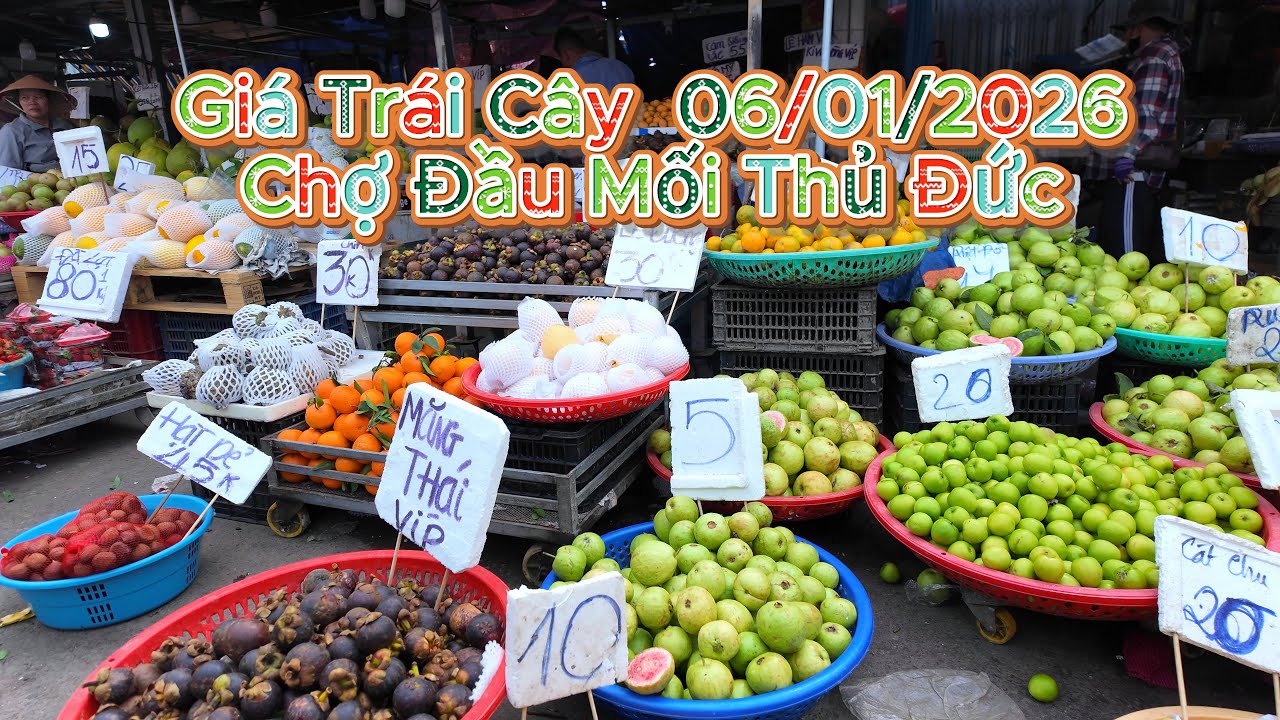 Giá trái cây tại mối vựa sạp Chợ Đầu Mối Thủ Đức