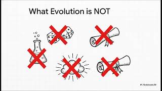 Islam & Evolution  An Explainer