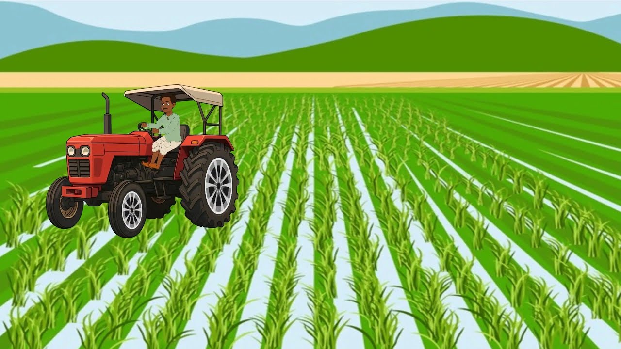 कर्मो का फल कहानी l Moral stories | Karma story | Fantasy stories