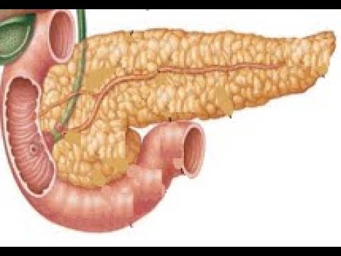 Vídeo: Onde o suco pancreático é armazenado?