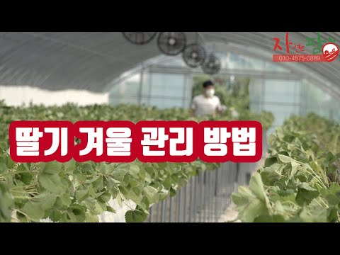 유튜브 미리보기