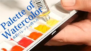 Eng Sub How To Make A Watercolor Palette Watercolor Introduction Youtube