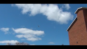 Align Trex 150x - A few flips in small outdoor area