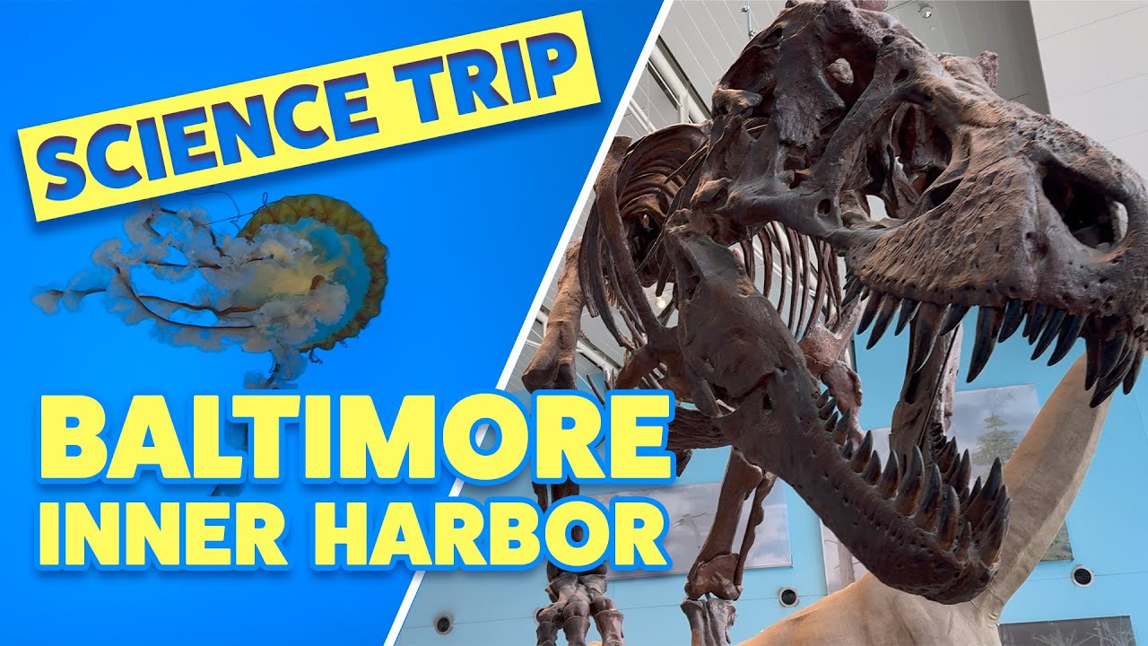Discover Baltimore: One Epic Day of Science & Adventure!