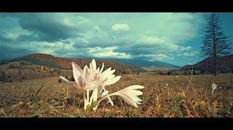 "Jesenné dojmy - Herbstimpressionen" - Muránska Planina + Horehronie - Slowakei/Slovakia/Slovensko