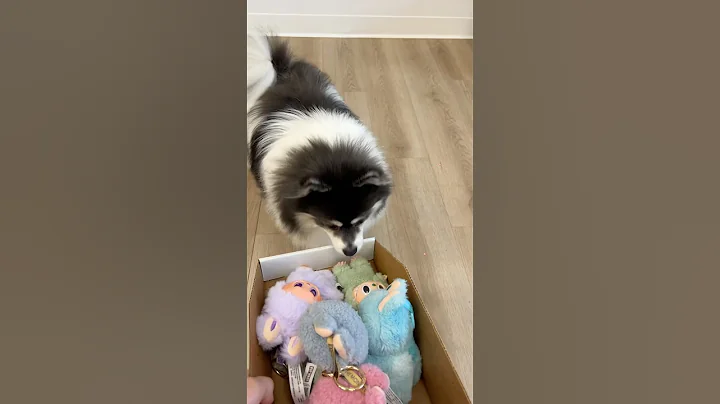 Labubu’s for ​⁠@scout2015?! 😍 ​⁠@MrsBench